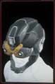 Argus Helmet.png